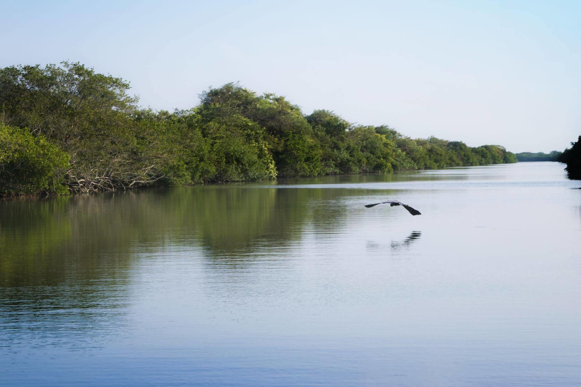 Готель Isla Tajin Tuxpan  Екстер'єр фото
